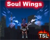 Soul Wings M/F (A)