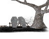 Deserted Coffin/Tree