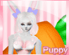 Plushie Bunny Furry V2