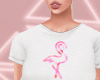 Flamingo ❤️
