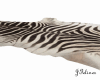 Rug Zebra