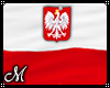 !W! Poland Flag (Wall)