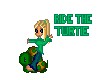 Turtle ride