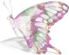 mutli colored butterfly