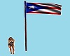 Puerto Rico Flag