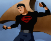 REQ Superboy Conner kent
