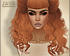 -J- Alissa carrot