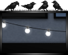 [M] Light String v2
