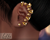 Golden Caged Earrings