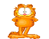 Garfield Perfect