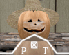 Fall Pumpkin Display
