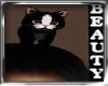CUTE KITTY  BLK WHIT
