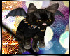 *Ab* LV KITTY BAT