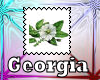 Georgia State Flower