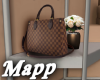 Checkered LouisV Bag