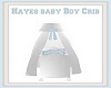 Hayes Baby Boy Crib