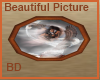 [BD] Beautiful Picture