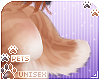 [Pets] Nutmeg | tail v8