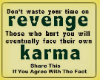 Revenge or Karma