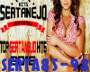 SERTANEJO PARTE 7