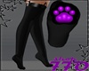 Kitty Purple Paw