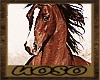Kiss on horse