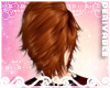 {CG} Rebun Derivable