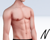 N| Slim Torso
