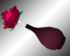 !A Raspberry rose