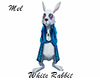 White Rabbit Alice