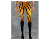 Tiger pant black boot