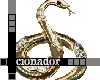 #C Diamond snake sticker