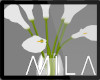 MB: WHITE LILLY FLOWERS