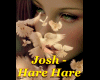 Josh-Hare Hare