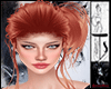 Ts Kaipo Ginger Rose
