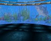 shark underwater club