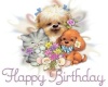 Birhday Sticker