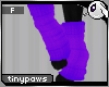 ~Dc) TinyPaws : N Purple