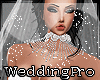 Elegant wedding dress