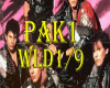Song-Duran Wild Boys pk1