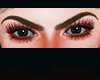 L| Brows Perfect Brown