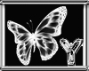 [Y] Butterflies Whites