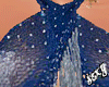 (X)Dessire sun