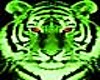 Eye of the Emerald Tiger
