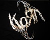 Korn 