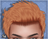 Sz l Stras Ginger