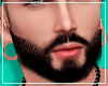 [Y] Full Beard Add On