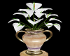 White Petal Lilies
