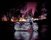 Harley picture