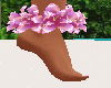 Pink Ankle Flowers